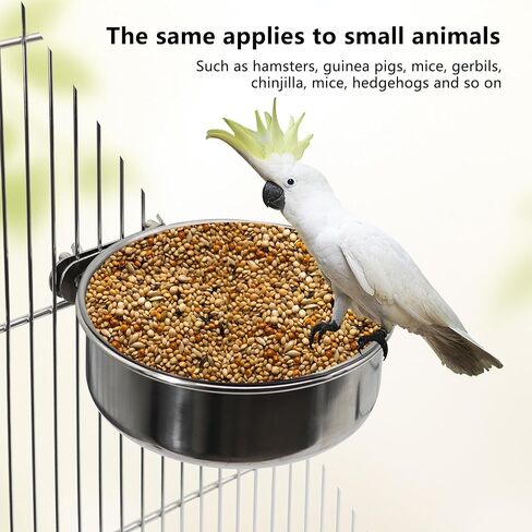 2 Pcs Small Bird Feeding Dish Cups,Parrot Food Bowl Cage with Clamp Holder Stainless Steel,Birdcage Coop Water Feeder for Cockatiel Parakeet Macaw Finches Lovebirds Small Animals (2 Pack, Small) in Saudi Arabia