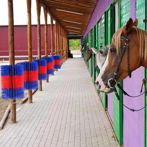 Large Scratch Brush 16.5 x 11.8 Inch Soft Cow Brush with 2 Screws Cattle Scratcher Grooming Horse Supplies for Goat Cattle Cow Pig Deer Animal Back Itch Relief in Saudi Arabia