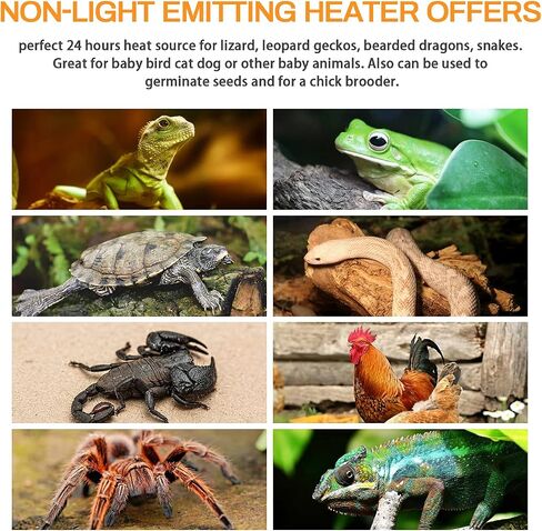 Simple Deluxe 2 Pack 150W Ceramic Heat Emitter Reptile Heat Lamp Bulb No Light Emitting for Brooder Coop Incubating Chicken & Amphibian Pet in Saudi Arabia