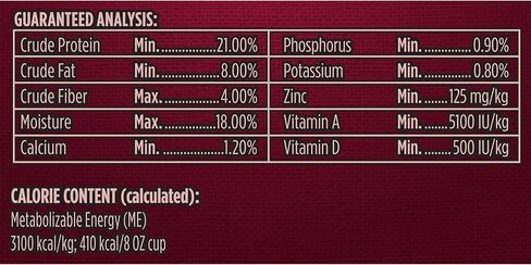 طعام الكلاب الجاف من كيبلز اند بيتس بيسترو ميني بت، فرن صغير الحجم بنكهة اللحم البقري المشوي، حقيبة بوزن 16 رطل in Kuwait