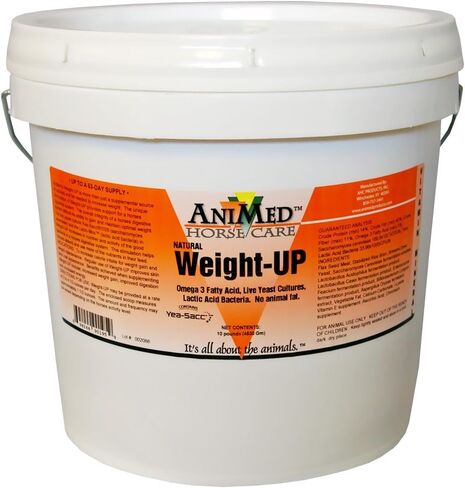 Animed WeightUP (10 رطل) in Kuwait