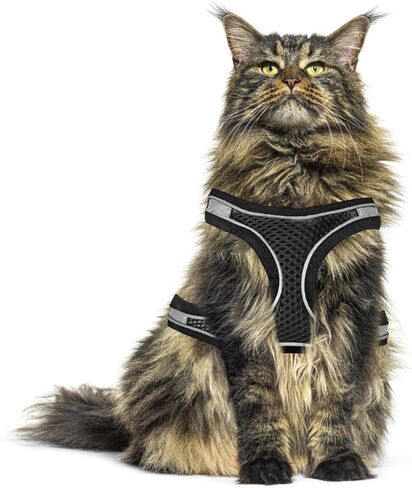 حامل صدر ومقود للمشي للقطط، مضاد للهروب، خفيف الوزن وناعم وقابل للتعديل مع تصميم عاكس، مناسب للاستخدام في الهواء الطلق والسفر (أسود، m) in Kuwait