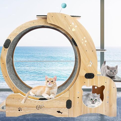 4-in-1 Cat Exercise Wheel, Cat Wheel Wood with Eight TPE Sile, Cat Litter Fitness Wheel for Indoor Cats,Climbing Ladders,Cat Scratching Board,Cat Bowls,Natural Wood in Saudi Arabia