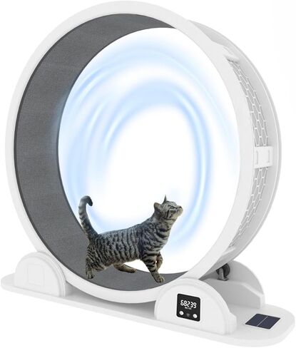 عجلة للقطط، عجلة تمرين للقطط مع عداد الخطى، عجلة تمرين للقطط مع مدرج مفروش بالسجاد، تركيب سريع وسهل 10 دقائق، عجلات للقطط الداخلية، 41.7 بوصة in Kuwait