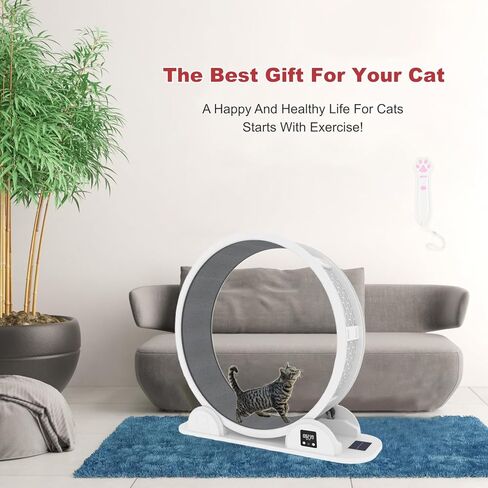 عجلة للقطط، عجلة تمرين للقطط مع عداد الخطى، عجلة تمرين للقطط مع مدرج مفروش بالسجاد، تركيب سريع وسهل 10 دقائق، عجلات للقطط الداخلية، 41.7 بوصة in Kuwait