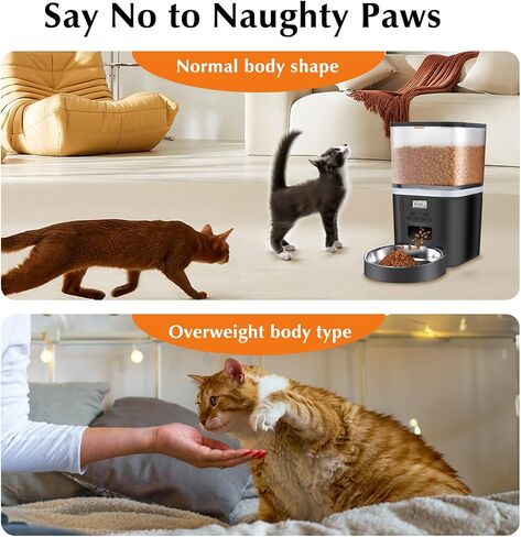 Automatic Cat Feeder Wet Food/Dry Food, 6Meal Timed Pet Feeder Easily Programmable &Easy to Clean, Auto Feeder for Cats/Small Dogs(Green) in Saudi Arabia