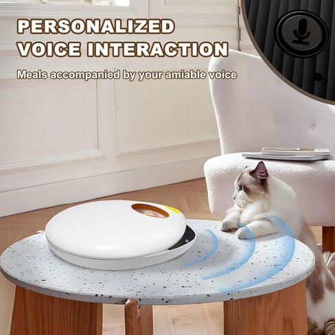 Automatic Cat Feeder Wet Food/Dry Food, 6Meal Timed Pet Feeder Easily Programmable &Easy to Clean, Auto Feeder for Cats/Small Dogs(Green) in Saudi Arabia