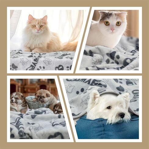 1 Pack 3 Dog Blankets, 31x41Inch Upgraded Dog Cat Flannel Blankets Washable, Dog Blanket Soft Pet Throw Cover for Kennel Bed, Cute Paw Pattern, Pet Blanket, Medium Small Dogs, Grey in Saudi Arabia