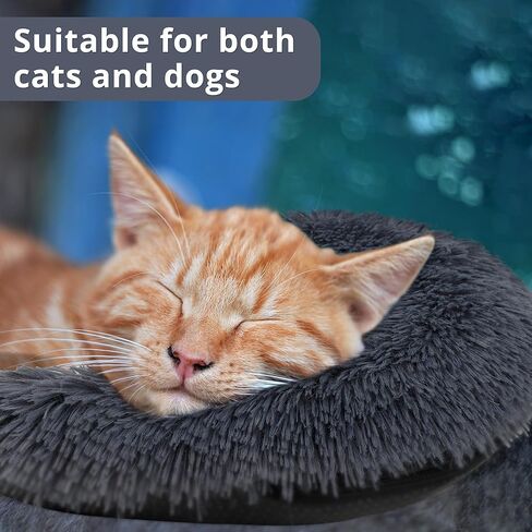 وسادة الكلب ليكالوس، وسادة تهدئة الكلاب للكلاب الكبيرة والمتوسطة، وسادة رقبة الكلب على شكل حرف U لتخفيف النوم وتحسين المفاصل، وسادة الحيوانات الأليفة قابلة للغسل في الغسالة للكلاب الصغيرة والقطط لعبة تهدئة الحيوانات الأليفة in Kuwait