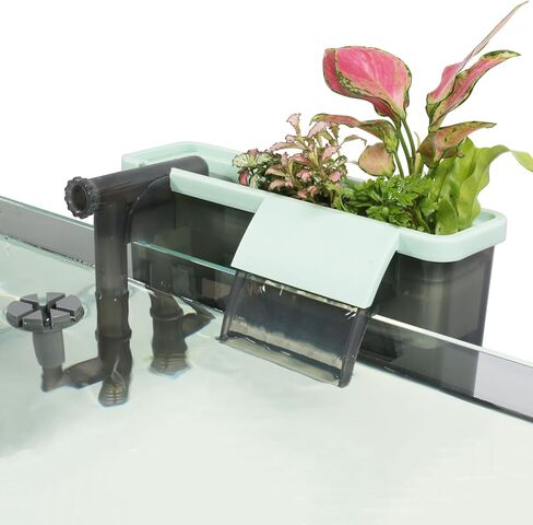 Quiet Aquarium Filter with Integrated Hydroponic Plant System for a Natural Eco-Aquarium in Saudi Arabia