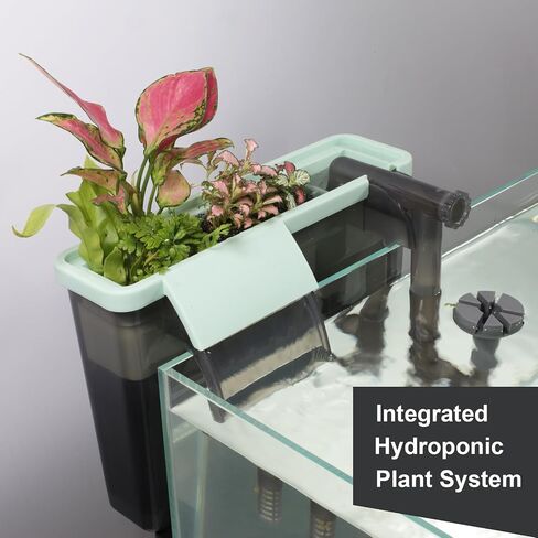 Quiet Aquarium Filter with Integrated Hydroponic Plant System for a Natural Eco-Aquarium in Saudi Arabia