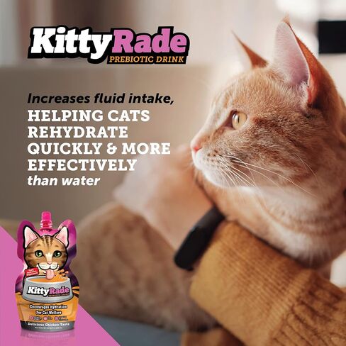 KittyRade – Delicious, Healthy Prebiotic, Isotonic Drink for Cats, Electrolytes | Reliable Hydration Drink for Cats & Low Calorie | Cat Health Supplement | Resealable Packs | (250ml x 10) in Saudi Arabia