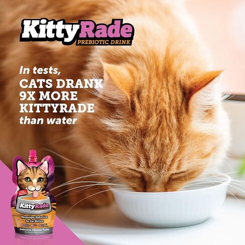 KittyRade – Delicious, Healthy Prebiotic, Isotonic Drink for Cats, Electrolytes | Reliable Hydration Drink for Cats & Low Calorie | Cat Health Supplement | Resealable Packs | (250ml x 10) in Saudi Arabia