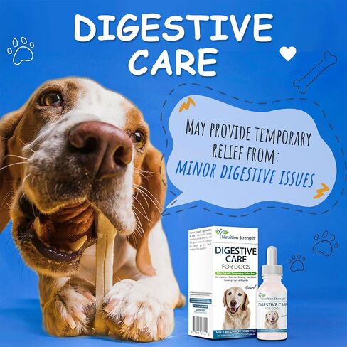 Digestive Care for Cats, Natural Constipation Relief for Cats and Kittens & Support for Diarrhea, Bloating, Bad Breath, Vomiting, Lack of Appetite, 60 Milliliters in Kuwait