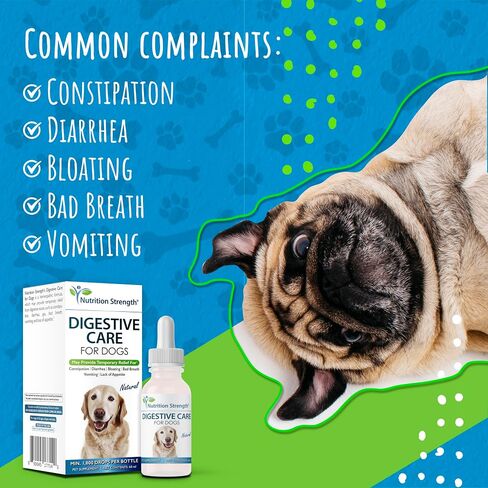 Digestive Care for Cats, Natural Constipation Relief for Cats and Kittens & Support for Diarrhea, Bloating, Bad Breath, Vomiting, Lack of Appetite, 60 Milliliters in Kuwait
