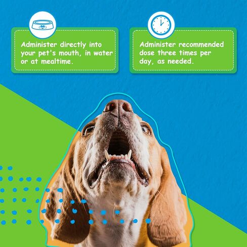 Digestive Care for Cats, Natural Constipation Relief for Cats and Kittens & Support for Diarrhea, Bloating, Bad Breath, Vomiting, Lack of Appetite, 60 Milliliters in Kuwait