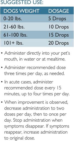 Digestive Care for Cats, Natural Constipation Relief for Cats and Kittens & Support for Diarrhea, Bloating, Bad Breath, Vomiting, Lack of Appetite, 60 Milliliters in Kuwait