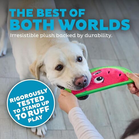 Outward Hound Tough Skinz Durable Squeaky Dog Toy with Two Tough Layers, Watermelon, Red, Medium in Kuwait