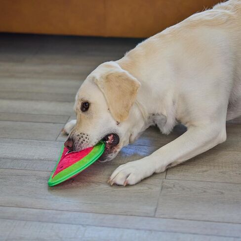 Outward Hound Tough Skinz Durable Squeaky Dog Toy with Two Tough Layers, Watermelon, Red, Medium in Kuwait