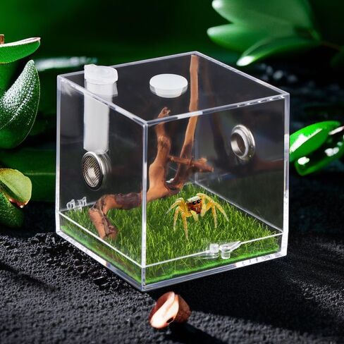 Jumping Spider Acrylic Breeding Box, Tarantula Transparent Terrarium, Spider Feeding Box, Bottom Open Design, Insect Habitat Hatching Container Cage in Saudi Arabia