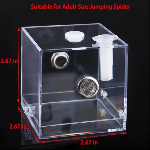 Jumping Spider Acrylic Breeding Box, Tarantula Transparent Terrarium, Spider Feeding Box, Bottom Open Design, Insect Habitat Hatching Container Cage in Saudi Arabia