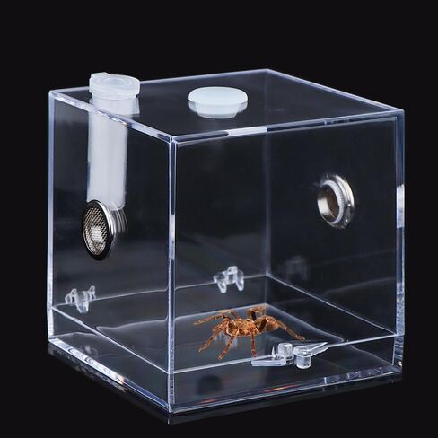 Jumping Spider Acrylic Breeding Box, Tarantula Transparent Terrarium, Spider Feeding Box, Bottom Open Design, Insect Habitat Hatching Container Cage in Saudi Arabia