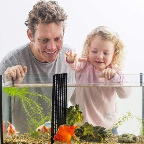 6 Pcs Grid Isolate Board Divider Fish Tank Bottom Black Filter Tray Aquarium Crate by OBANGONG in Kuwait