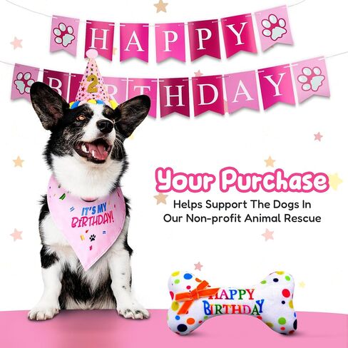 Pacific Pups Dog Birthday Decorations Set - Dog Birthday Hat, Dog Birthday Bandana, Squeaky Toy, Happy Birthday Dog Birthday Banner, Dog Party Hat, Celebrate in Style Support a Noble Cause Pink Stars in Saudi Arabia