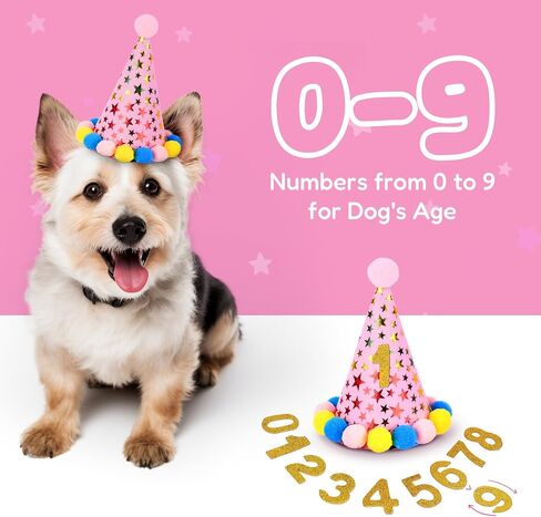 Pacific Pups Dog Birthday Decorations Set - Dog Birthday Hat, Dog Birthday Bandana, Squeaky Toy, Happy Birthday Dog Birthday Banner, Dog Party Hat, Celebrate in Style Support a Noble Cause Pink Stars in Saudi Arabia