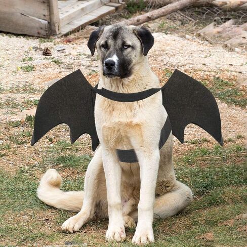 Rypet Dog Bat Wings Costume L, Dog Bat Costume for Halloween Cosplay Party in Saudi Arabia