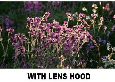 PLR Optics 58mm Lens Hood - انظر وصف قائمة متوافقة in Kuwait