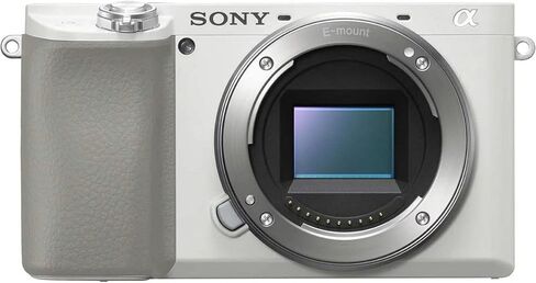 كاميرا Sony A6100 بدون مرآة (بيضاء ، جسم فقط) + 64 جيجابايت ذاكرة + بطارية إضافية + حافز العنكبوت + CASE + TRUPOD + LED LIPT + شاحن البطارية + أكثر (حزمة 22pc) (متجددة) in Saudi Arabia