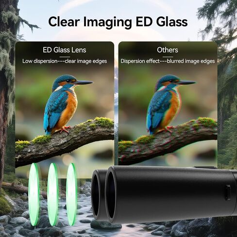 تمت ترقية SVBony SV202 10x42 Ed Binocular & SC002 WiFi ، مع عدسات موضوعية للغاية للتشتت من أجل مراقبة الطيور ، ونظام Bak4 و FMC البصري ، 8 °+زاوية عرض واسعة ، in Saudi Arabia
