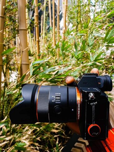 Samyang 24mm F1.8 AF AF Compact Full Frame Wide for Sony E ، Black (Syio2418-E) (متجدد) in Saudi Arabia