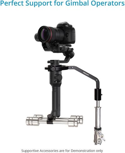 Proaim Gimbal Brace Mount for DJ-RN-S & Crane-2 Camera Camera Arm and Stabilizer Arm. للسترة/الذراع مع تثبيت دبوس 16 مم. in Saudi Arabia