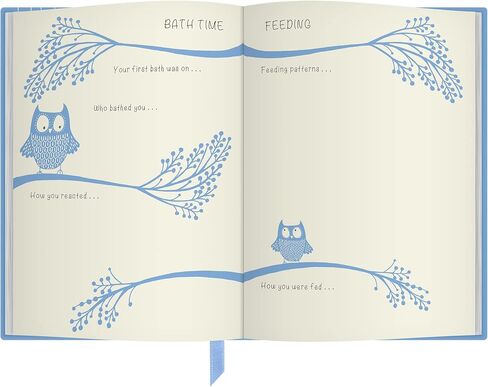 Early Years: Birth To 5 Years Pre-School Record Journal & Notebook (Blue) in Saudi Arabia