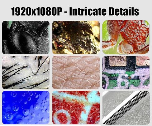 USB Microscope, 10X-200X USB C Digital Microscope, Portable Camera with 8 LED Lights & Multi-Joint Rotating Stand for Coin Collection Jewelers Electronics, Fits iPhone 15 Android Windows in Kuwait