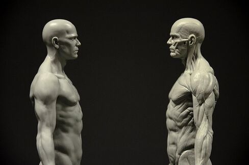 Male Anatomy Figure: 11-inch Anatomical Reference for Artists (Grey) in Saudi Arabia