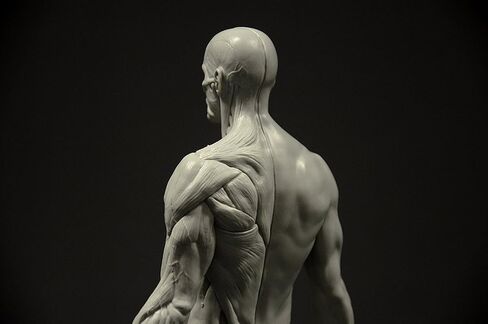 Male Anatomy Figure: 11-inch Anatomical Reference for Artists (Grey) in Saudi Arabia