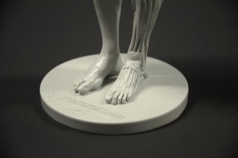 Male Anatomy Figure: 11-inch Anatomical Reference for Artists (Grey) in Saudi Arabia