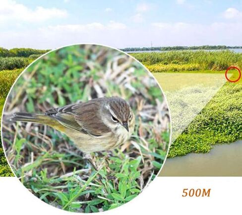 8X21 HD Monocular Telescope - Compact Binoculars for Children, Bird Watching, Sports, Travel Exploration in Saudi Arabia