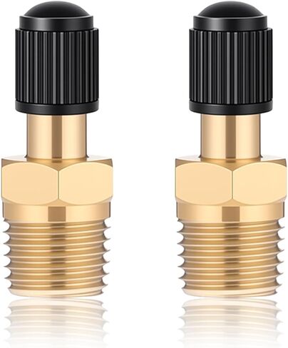 2PCS 1/8" NPT Tank Valve Anti-Corrosion Standard Valve Core 1/8" NPT Schrader Valves with Sealing Caps,Using with Air Compressor Tanks in Saudi Arabia