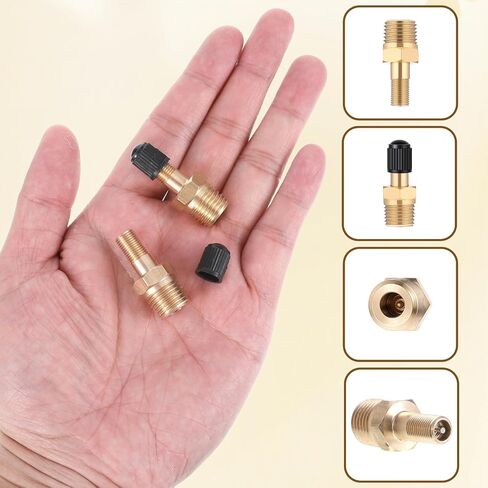 2PCS 1/8" NPT Tank Valve Anti-Corrosion Standard Valve Core 1/8" NPT Schrader Valves with Sealing Caps,Using with Air Compressor Tanks in Saudi Arabia