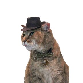 Indiana Jones Fedora for your Cat, Indiana Jones hat for Dog or Pet