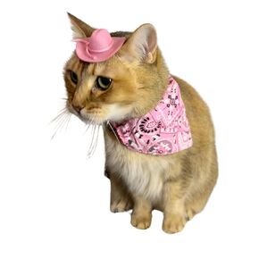 Mini Pink Cowboy hat for cat with pink bandana for cat