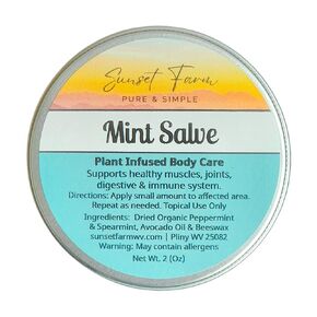Mint Salve Herbal Balm Skin Body Care Ointment 2 oz