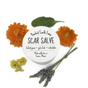 Scar Salve - 4 fl oz - Herbal Infused Cream