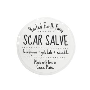 Scar Salve - 1 fl oz - Herbal Infused Cream