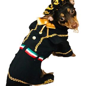 Mariachi dog costume (S)