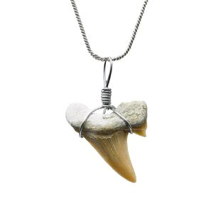 Authentic Shark Tooth Necklace - Unisex Fossil Necklace with Real Shark Teeth - Ideal Shark Tooth Necklace for Boys, Men, Kids and Girls in Kuwait